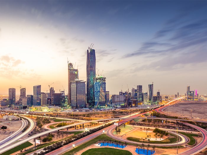 القطاع الحكومي