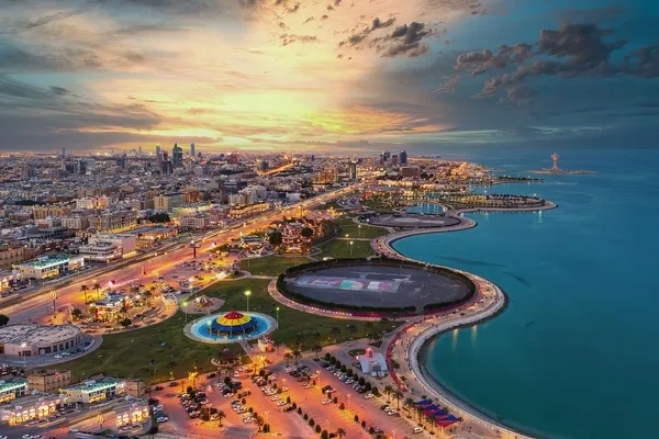 شبة الحكومي